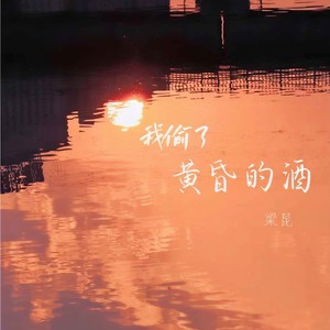 我偷了黄昏的酒 (DJ版)