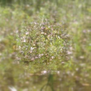 Gamer(feat. Saidur Rahman)