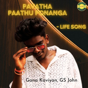 Pavatha Paathu Ponanga