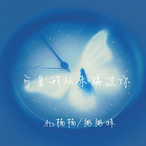 可是我从未骗过你