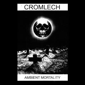Ambient Mortality