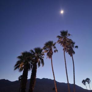 Last... Night (feat. NEUTRAL POISON) (Explicit)