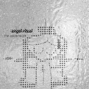 soulkill (feat. lilleea౨ৎ)