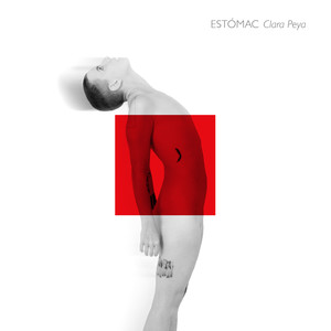Estómac de plàstic