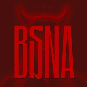 BSNA