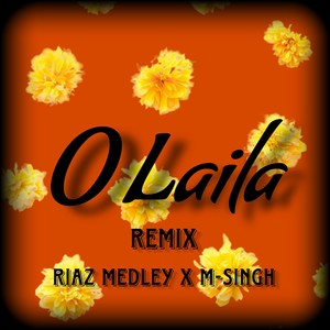 O Laila (Remix)