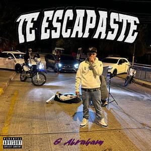 Te Escapaste