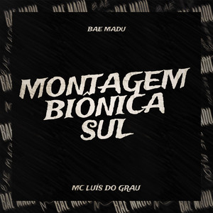 Montagem Biônica Sul (Explicit)