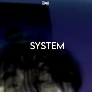 System (Explicit)