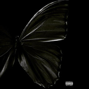 Black Butterfly (Explicit)