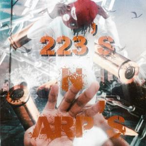 223's N ARP's (Explicit)