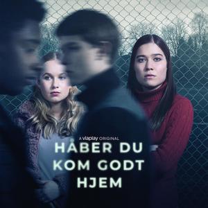 Håber du kom godt hjem (OST)