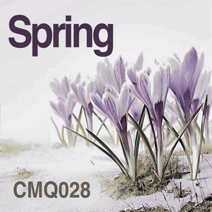 Lost Forms (Original Mix)