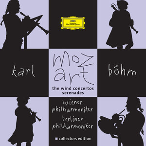 Flute Concerto No. 1 in G Major, K. 313 - III. Rondo (Tempo di Menuetto) (모차르트: 플루트 협주곡 1번 사장조, K.313: 3. Rondo (Tempo di Menuetto)|フルートキョウソウキョクダイ１バン: ダイサンガクショウロンド|フルート協奏曲 第1番 ト長調 K.313(285C): 第3楽章: Rondeau (Tempo di Menuetto))