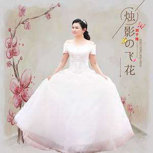 烛影飞花 (二胡版)