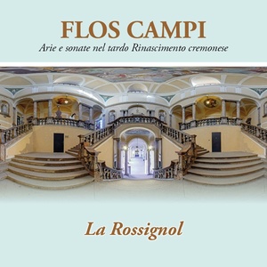 Flos campi