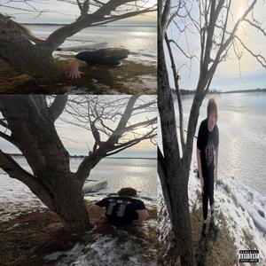 BASIC HOES (Explicit)