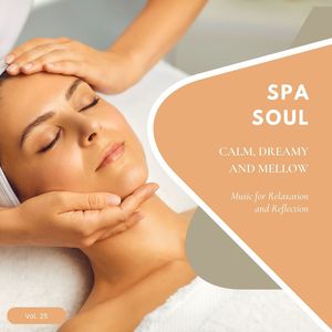 Spa Soul - Calm, Dreamy And Mellow Music For Relaxation And Reflextion, Vol. 25