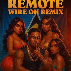 Remote wire cover (Remix)
