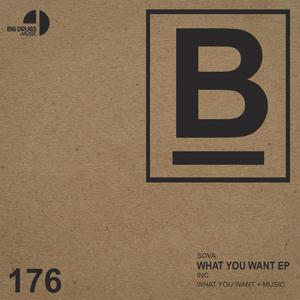 What You Want EP