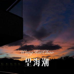 霜雪千年--抖音版 (Remix)