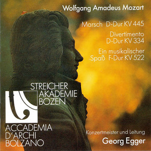 Divertimento No. 17 in D Major, K. 334 - II. Thema mit Variationen. Andante