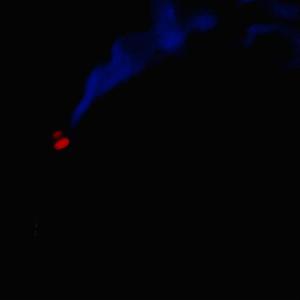 T'D Up (Outside) (feat. Mic. Carr) (Explicit)