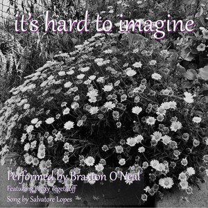 It's Hard to Imagine (feat. Andy Tegethoff)