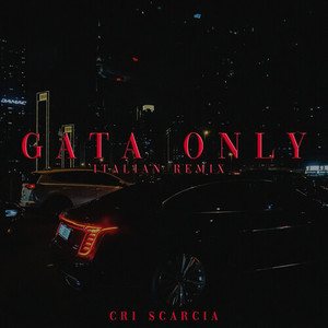 GATA ONLY (ITALIAN REMIX)