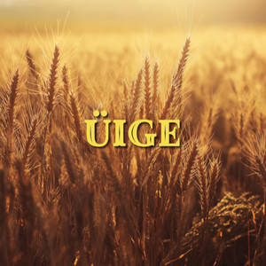 Üige