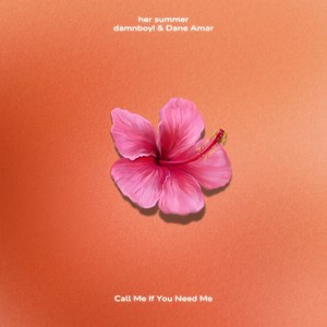 damnboy! - Call Me If You Need Me (with Dane Amar)
