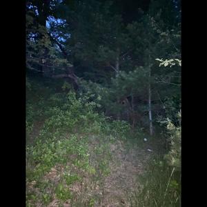 terrified (feat. capespring.) (Explicit)