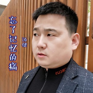 忘了记忆的痛