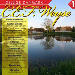 Vuggevise(Mit elskte barn)