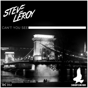 Can't You See (Original Mix)