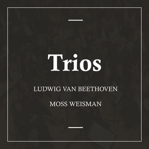 l'Orchestra Filarmonica di Moss Weisman - Piano Trio No. 7 in B-Flat Major, Op. 97, 