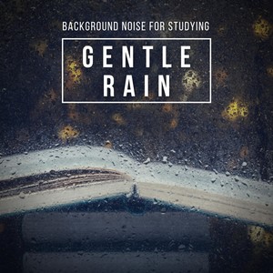 Background Noise for Studying: Gentle Rain