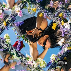 Saturns Rings (Explicit)