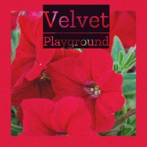 Velvet Playground