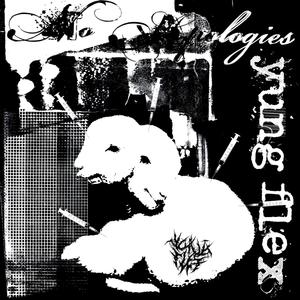 NO APOLOGIES (Explicit)