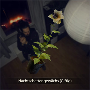 Nachtschattengewächs (Giftig) [Explicit]