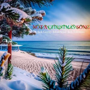 Not a Christmas Song