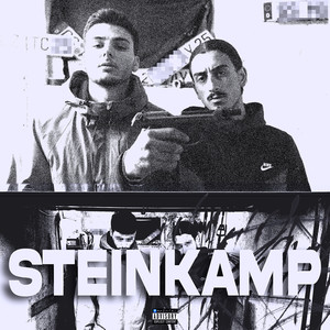 Steinkamp (Explicit)