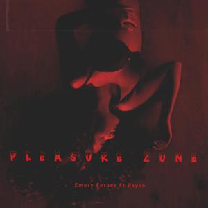 The Pleasure Zone (feat. Payso) [Radio Edit]