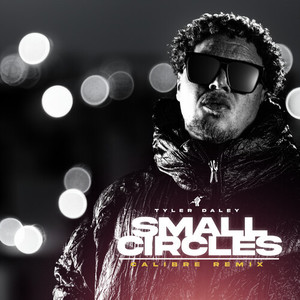 Small Circles (Calibre Remix) [Explicit]