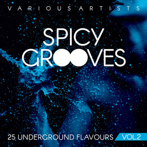 Spicy Grooves (25 Underground Flavours), Vol. 2