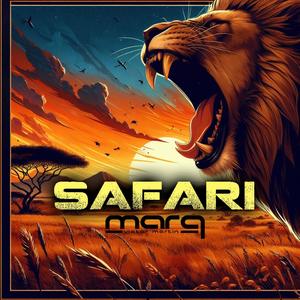 Safari