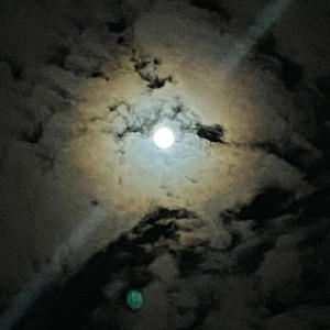 Boat n Hoes (feat. YxngXhld) (Explicit)