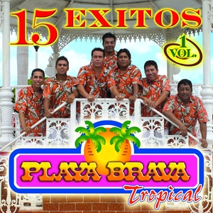 15 Exitos, Vol. 1