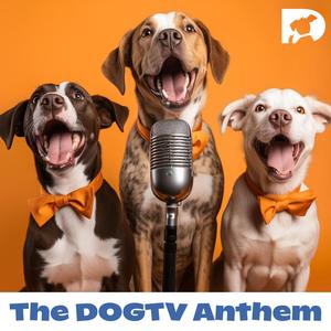 The DOGTV Anthem (feat. Ryan Burns)